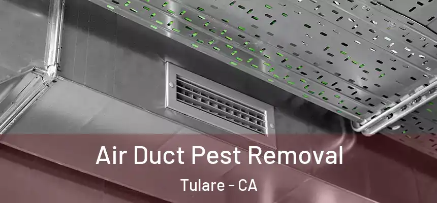  Air Duct Pest Removal Tulare - CA