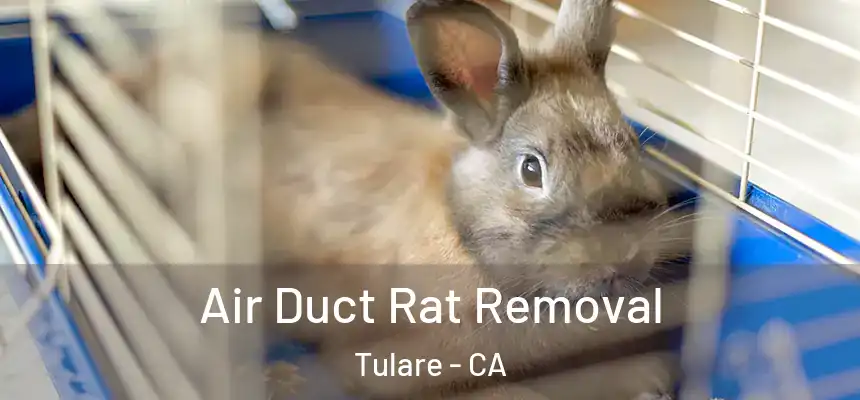  Air Duct Rat Removal Tulare - CA