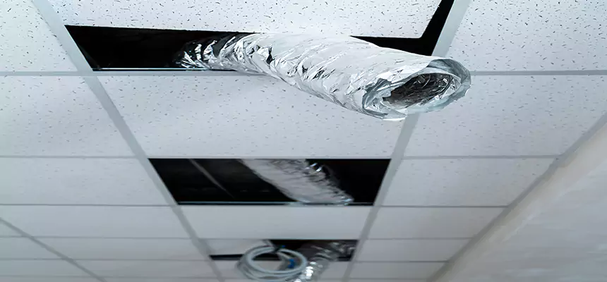 Affordable HVAC Sanitizing After Pest Removal in Tulare