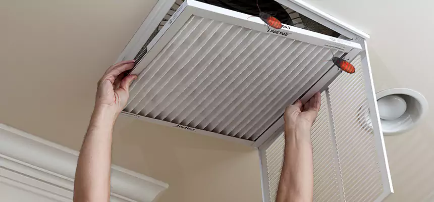 Our Insect Removal from Air Ducts Services in Tulare, CA
