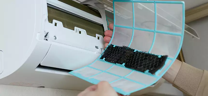 Gentle Ductwork Odor-Control Pet Dander Duct Cleaning in Tulare, CA