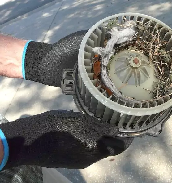 About Air Duct Mice Removal in Tulare, CA