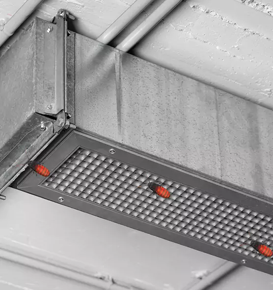 Affordable Insect Removal from Air Ducts in Tulare, CA