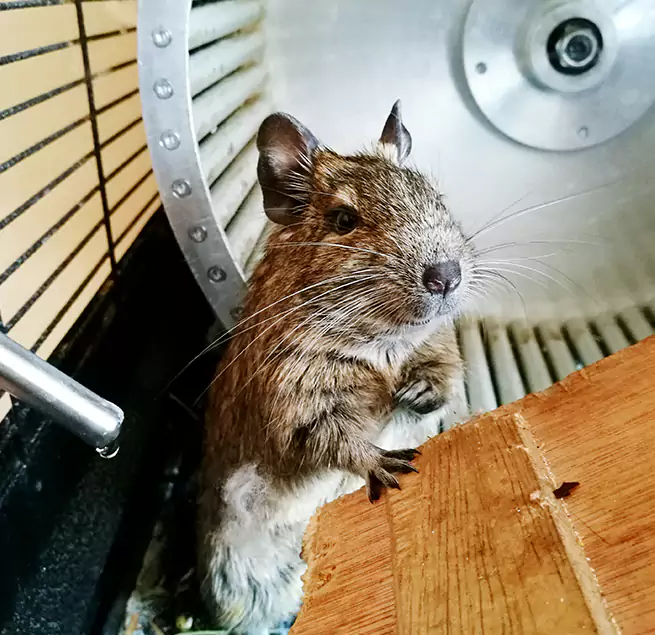 Why Homeowners & Businesses Trust Us Tulare, CA