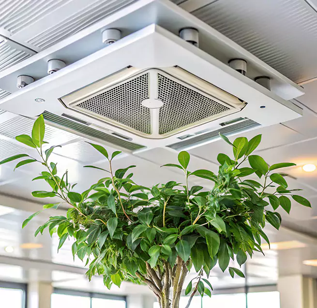 Why Homeowners & Businesses Trust Us in Tulare, CA