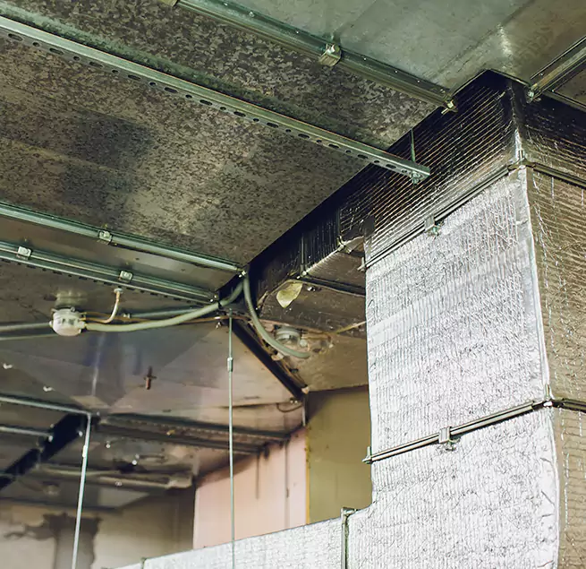 Why Homeowners & Businesses Trust Us in Tulare, CA?